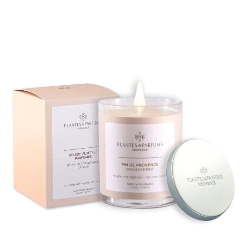 Perfumed Candle - Provence Pine | Fragrances | Candles | The Elms