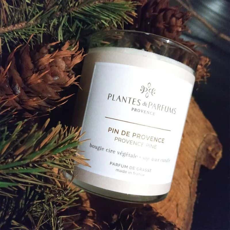 Perfumed Candle - Provence Pine | Fragrances | Candles | The Elms