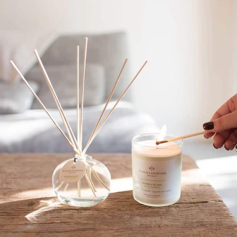 Plantes & Parfums Candle - White Bamboo | Candles & Diffusers | Candles | The Elms