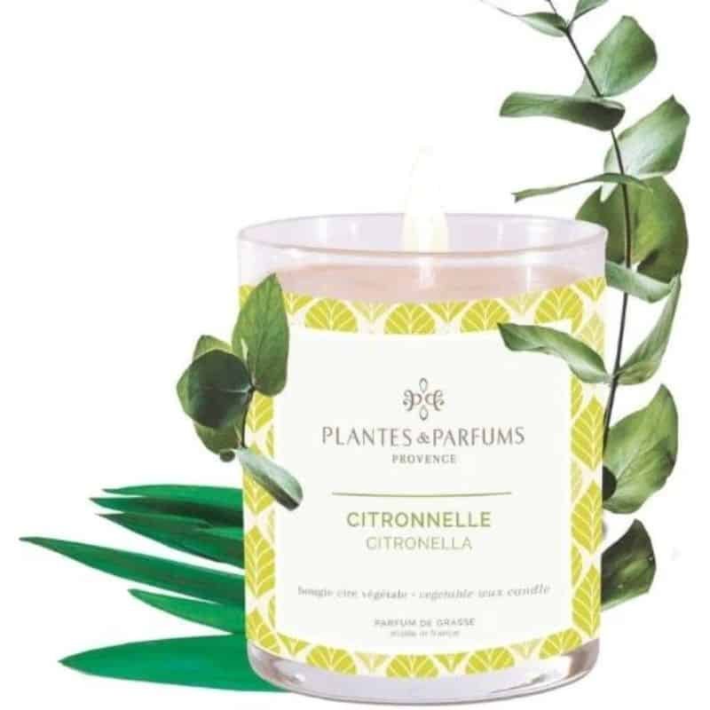 Perfumed Candle - Citronella | Fragrances | Candles | The Elms