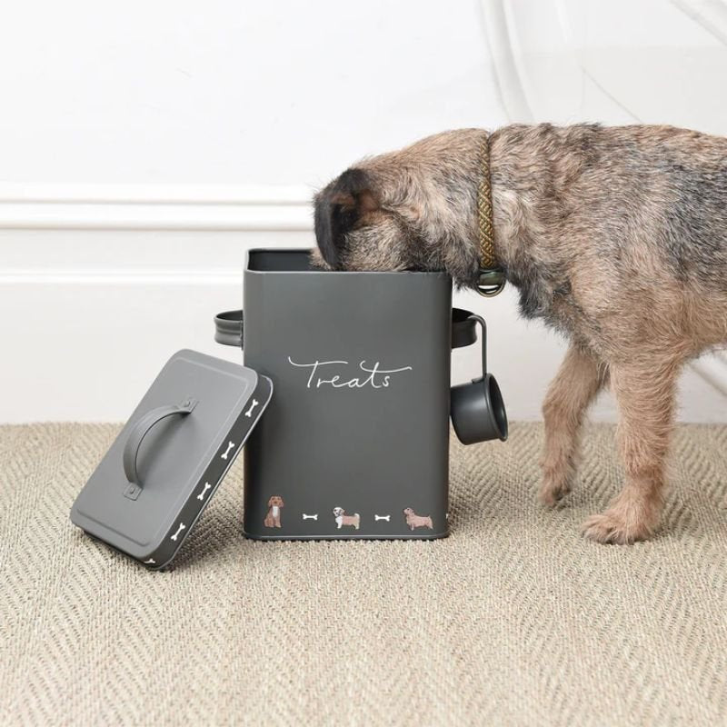 Pet Tin - Walkies - Small | Pets | Pet Accessories | The Elms