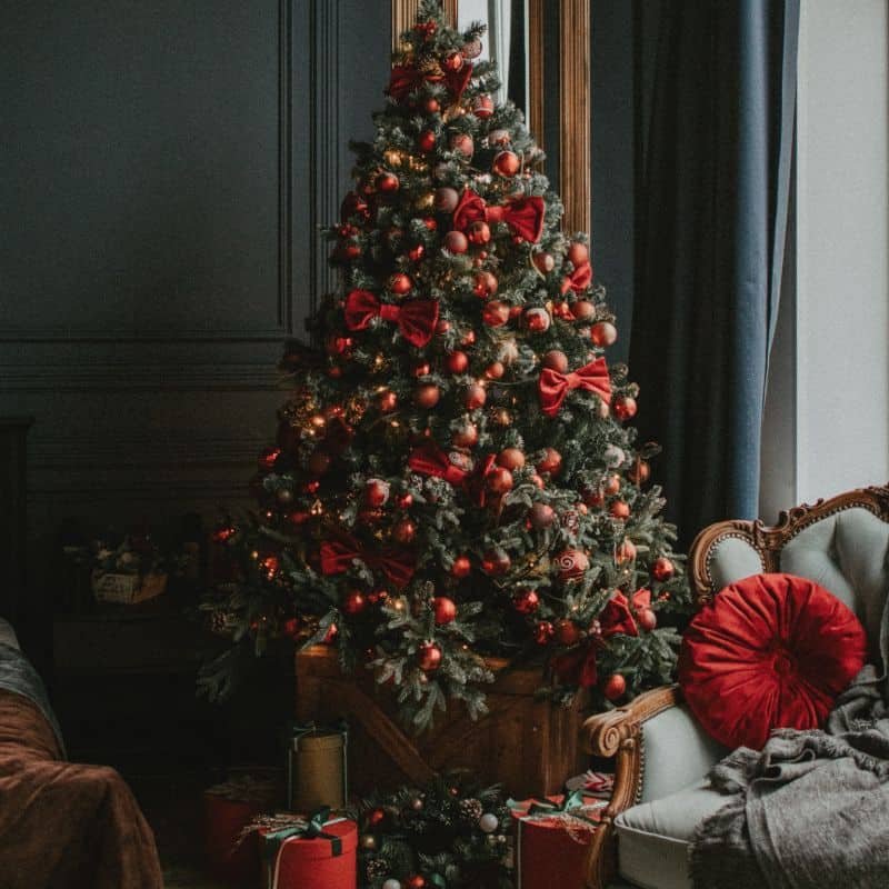 Christmas Trees | Christmas | The Elms