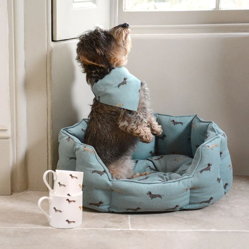Pets Beds