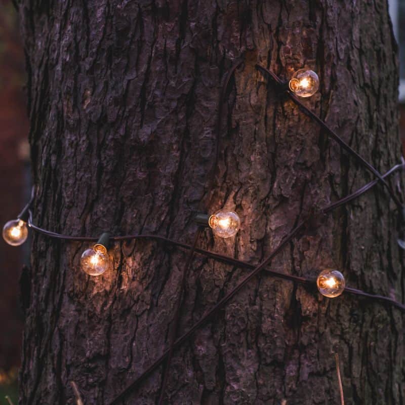 String Lights | Lighting & Lamps | Garden Lighting | The Elms