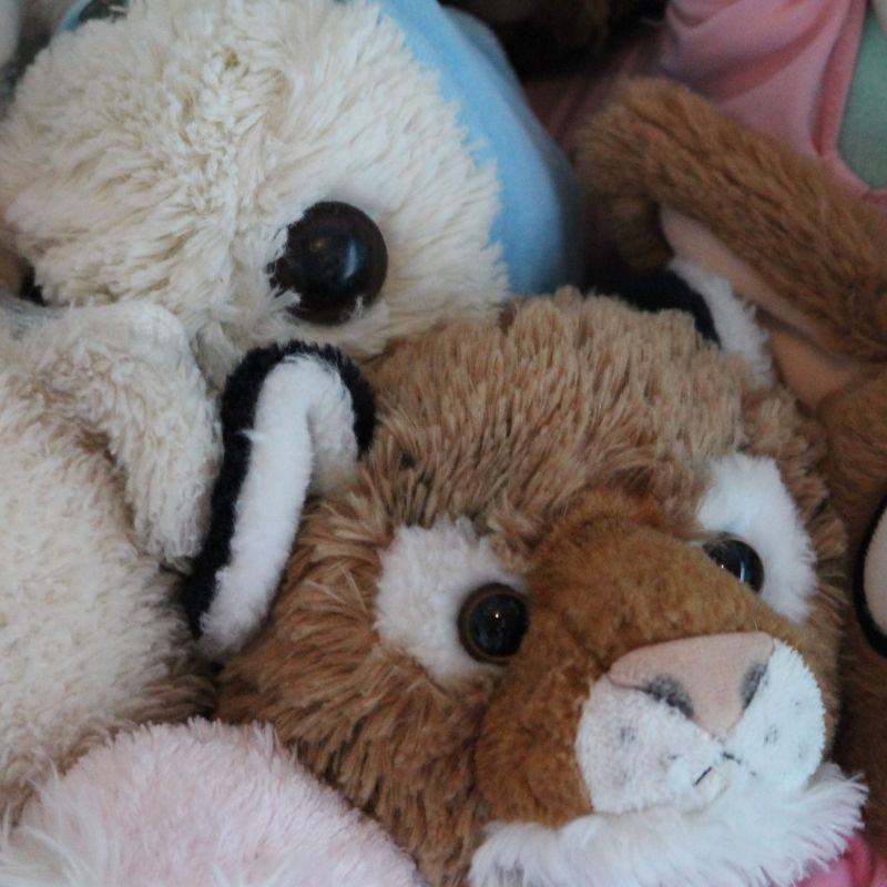 Toys | Gifts | The Elms