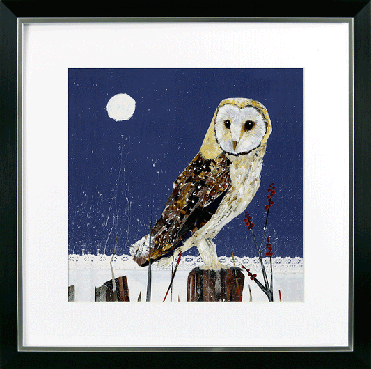Nocturnal Barn Owl Wall Art