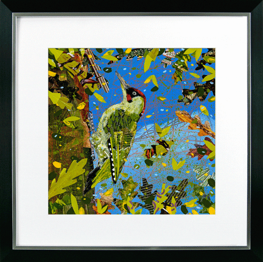 Bright & Beautiful Birds - Woodpecker