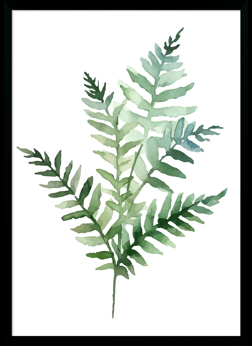 Fresh Ferns II Wall Art