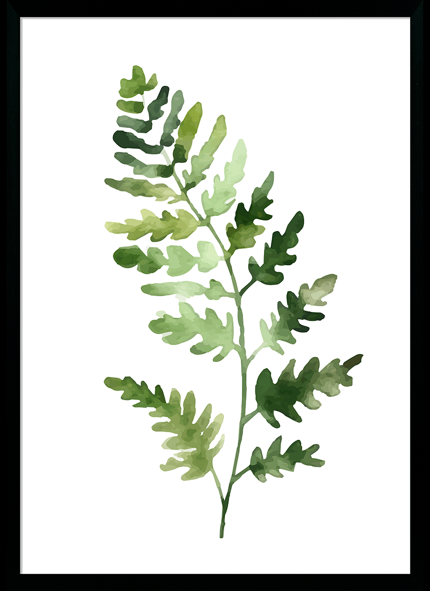 Fresh Ferns III Wall Art