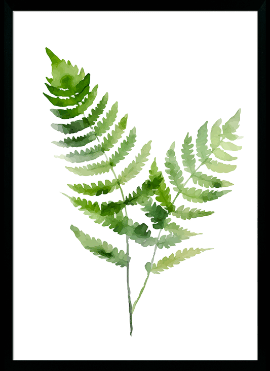 CP Fresh Ferns V Wall Art