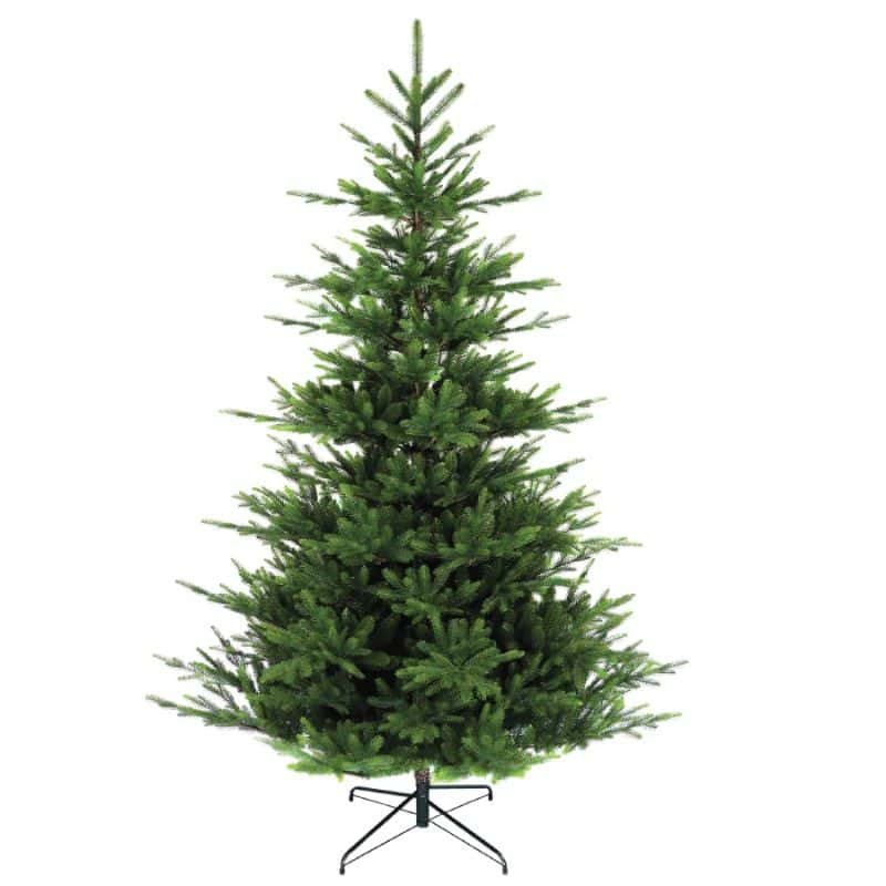 Nordman Fir Tree - Unlit - 6ft | Christmas Trees | Christmas | The Elms