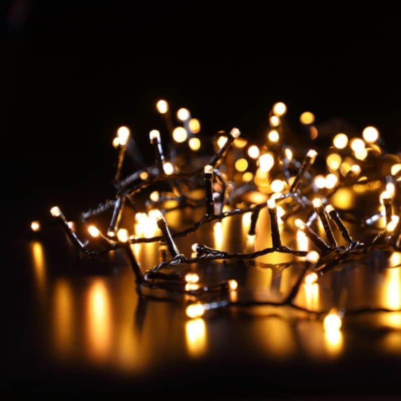 480 Stardust Tree Lights - Antique White - Plug In | Christmas | Christmas Lights | The Elms