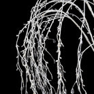 Tall Warm White Lit Willow Tree | Christmas | Christmas Decorative Accessories | The Elms