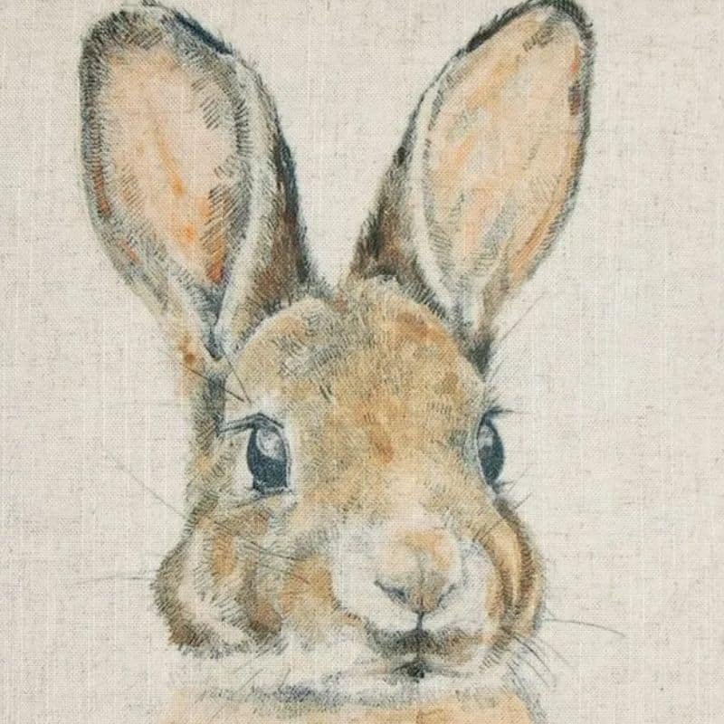 Juniper Bugzy Cushion | Soft Furnishings | Cushions | The Elms