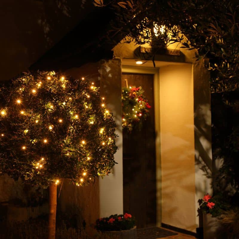 50 Fit & Forget Tree Lights - Warm White - Battery Operated | Christmas | Christmas Lights | The Elms