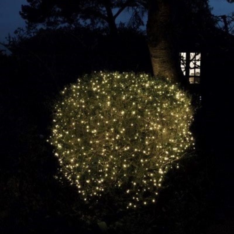 50 Fit & Forget Tree Lights - Warm White - Battery Operated | Christmas | Christmas Lights | The Elms
