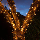 50 Fit & Forget Tree Lights - Warm White - Battery Operated | Christmas | Christmas Lights | The Elms