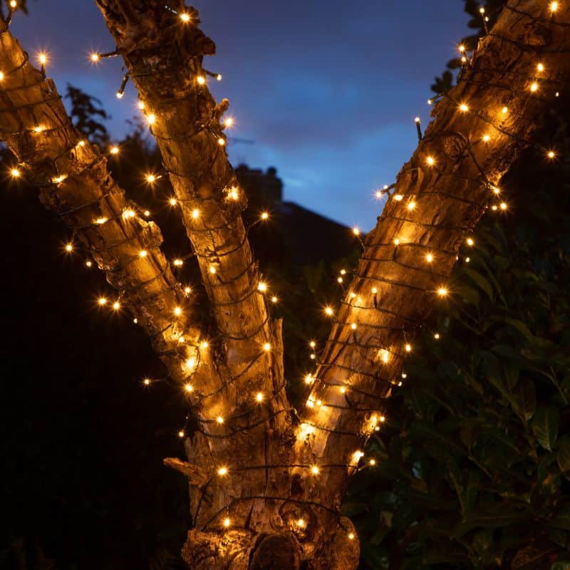50 Fit & Forget Tree Lights - Warm White - Battery Operated | Christmas | Christmas Lights | The Elms