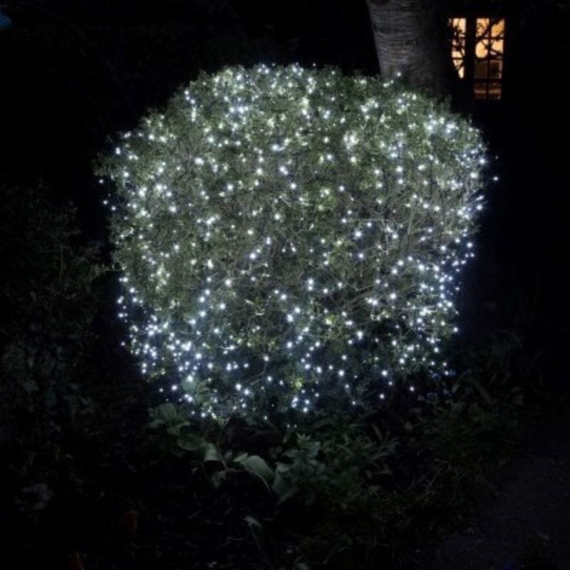 50 Fit & Forget Tree Lights - White - Battery Operated | Christmas | Christmas Lights | The Elms