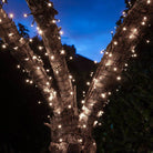 50 Fit & Forget Tree Lights - White - Battery Operated | Christmas | Christmas Lights | The Elms