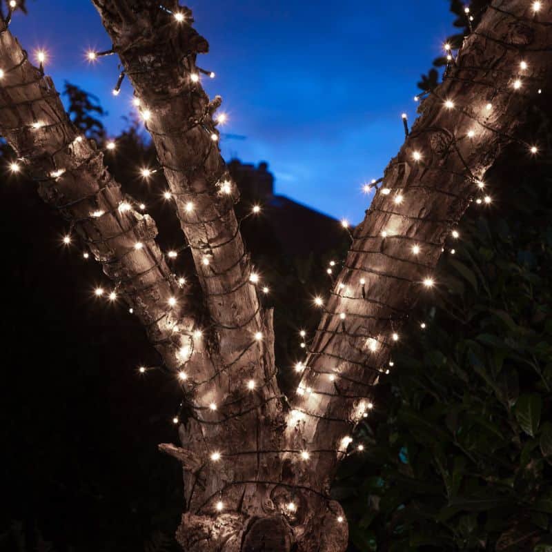 50 Fit & Forget Tree Lights - White - Battery Operated | Christmas | Christmas Lights | The Elms