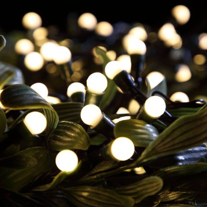 50 Fit & Forget Berry Lights - Warm White - Battery Operated | Christmas | Christmas Lights | The Elms