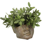 Apollo Face Planter - 11.5cm | Decorative Accessories | Vases | The Elms
