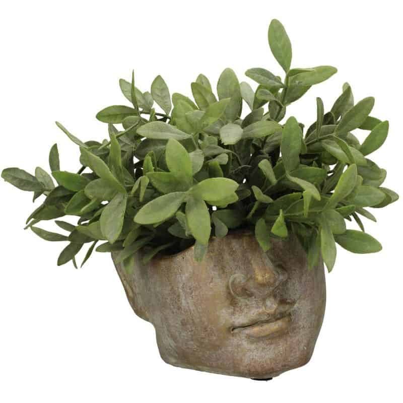 Apollo Face Planter - 11.5cm | Decorative Accessories | Vases | The Elms
