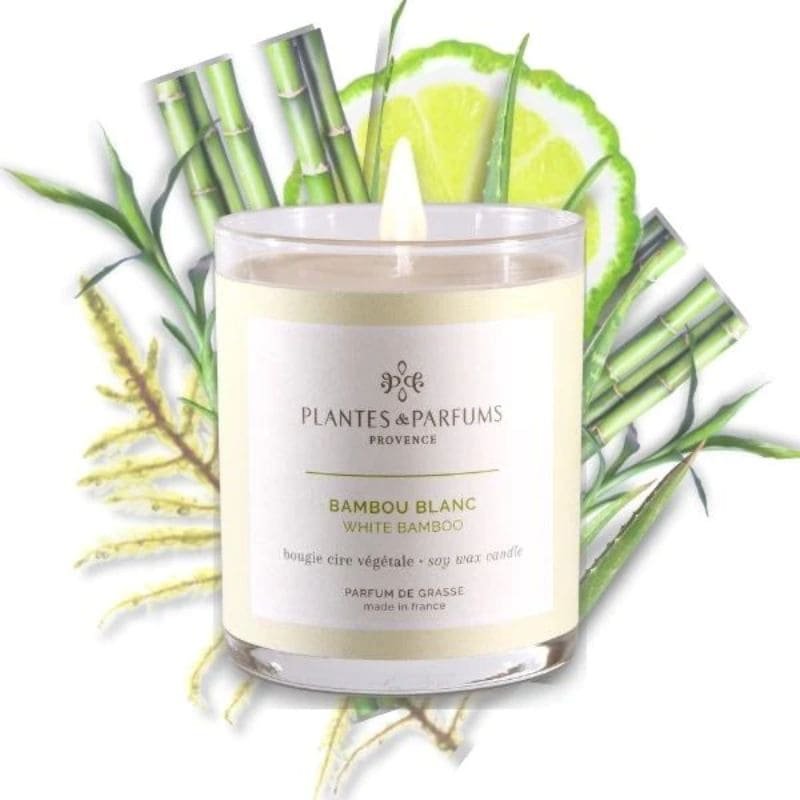 Plantes & Parfums Candle - White Bamboo | Candles & Diffusers | Candles | The Elms