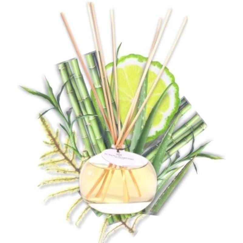 Plantes & Parfums Diffuser - White Bamboo - 100ml | Candles & Diffusers | Diffusers | The Elms
