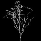 White Willow Spray - 130cm | Christmas | Christmas Decorative Accessories | The Elms