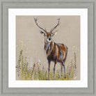 Grayson Wall Art - 67cm x 67cm | Wall Decor | Wall Art | The Elms