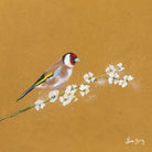 Goldfinch Wall Art - 51cm x 51cm | Wall Decor | Wall Art | The Elms