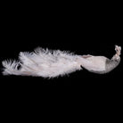 Peacock Clip with Feather Tail - 50cm | Christmas | Christmas Tree Decorations | The Elms