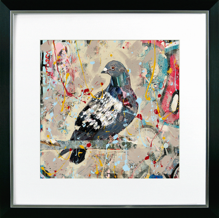 Pigeon Wall Art