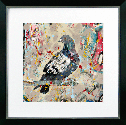Pigeon Wall Art