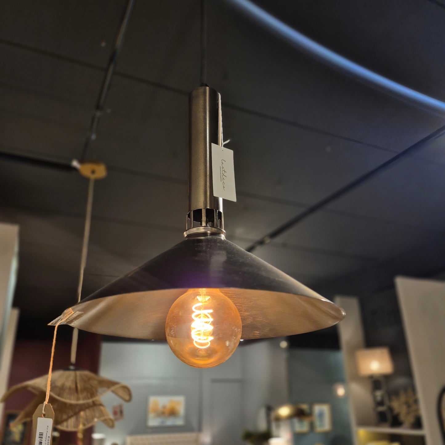 Pudsey Ceiling Lamp
