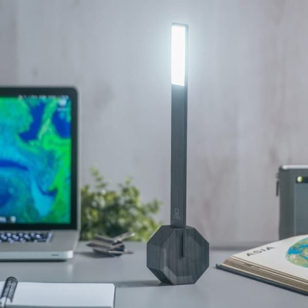 Gingko Designs Octagon One Portable Desk Lamp | The Elms