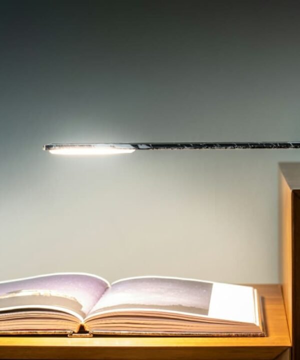 Gingko Designs Octagon One Portable Desk Lamp | The Elms