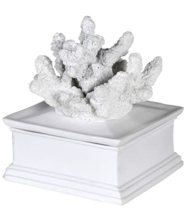 Square Faux Coral White Trinket Box | Home Decor | The Elms