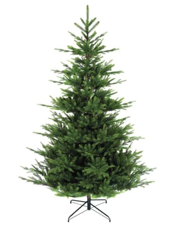 Nordman Fir Tree - Unlit - 6ft | Christmas Trees | Christmas | The Elms