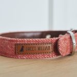 Tweed Dog Collar - Small - Orange | Pets | Pet Accessories | The Elms