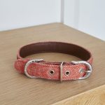 Tweed Dog Collar - Small - Orange | Pets | Pet Accessories | The Elms