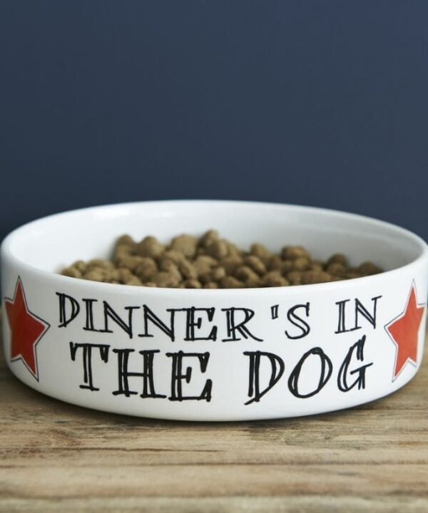 Pet Bowl - Dinner's In The Dog - Small | Pet Care | Food Bowls | The Elms