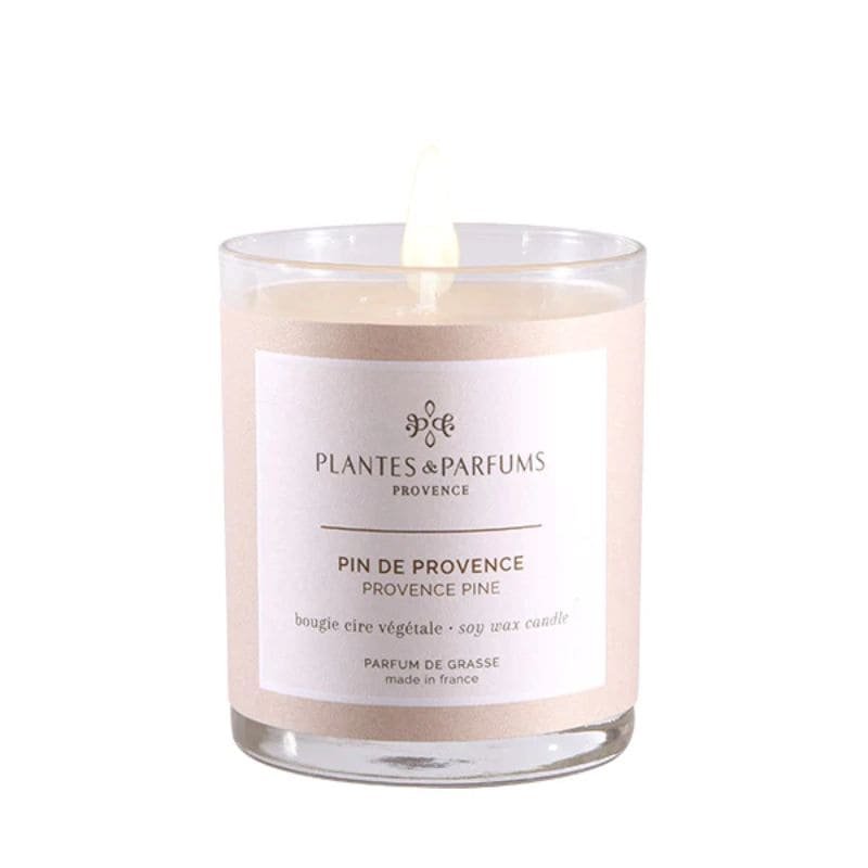 Perfumed Candle - Provence Pine | Fragrances | Candles | The Elms