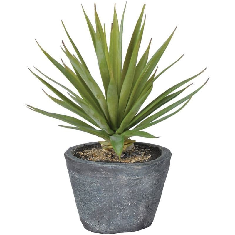 Green Spikey Airplant in Dark Grey Cement Pot - 20cm | Decorative Accessories | Faux Plants | The Elms