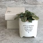 Porcelain Planter - Friends Are Like Flowers - 8cm | Decorative Accessories | Vases | The Elms