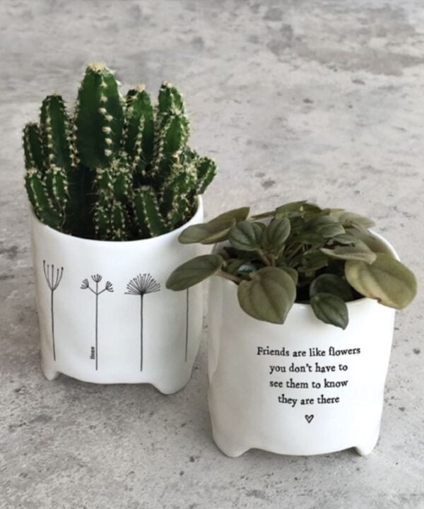 Porcelain Planter - Friends Are Like Flowers - 8cm | Decorative Accessories | Vases | The Elms