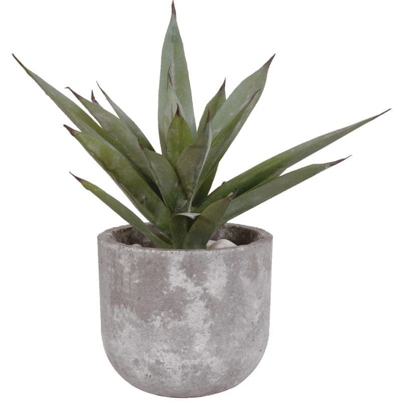 Aloe Vera in Grey Cement Pot - 38cm | Decorative Accessories | Faux Plants | The Elms