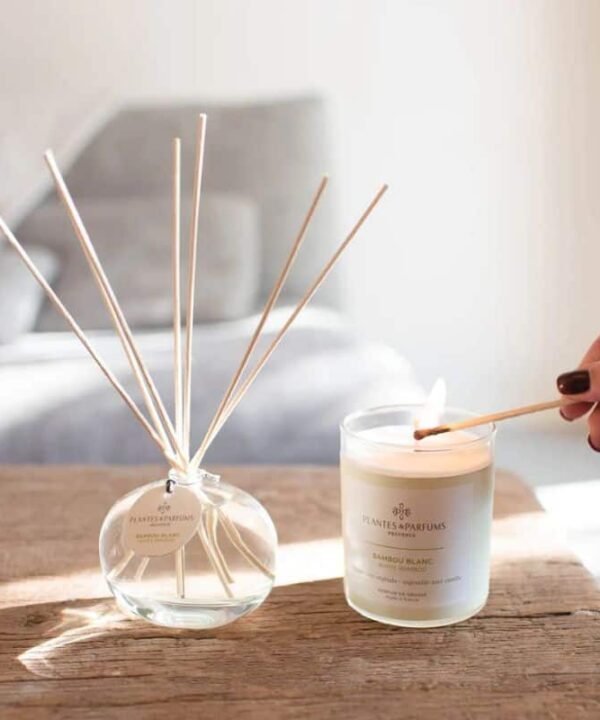 Plantes & Parfums Candle - White Bamboo | Candles & Diffusers | Candles | The Elms